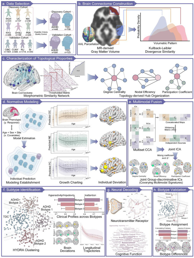 Topological Deviations in Morphometric Similarity Networks